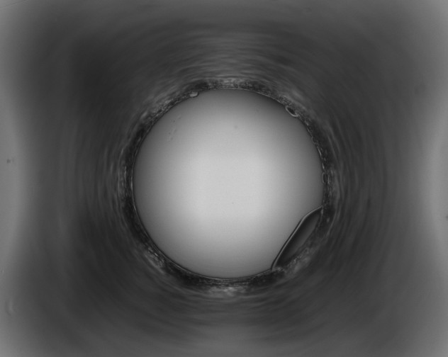 X0000085840760200703231442
