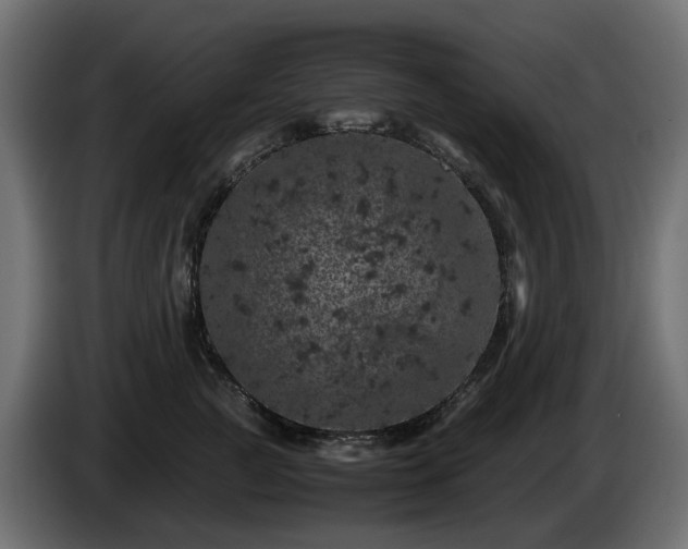 X0000085840761200703231442