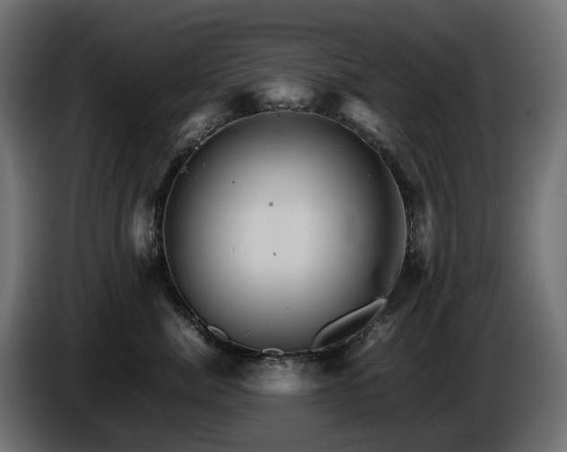 X0000085840764200703231442