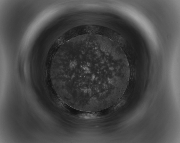 X0000085840765200703231442