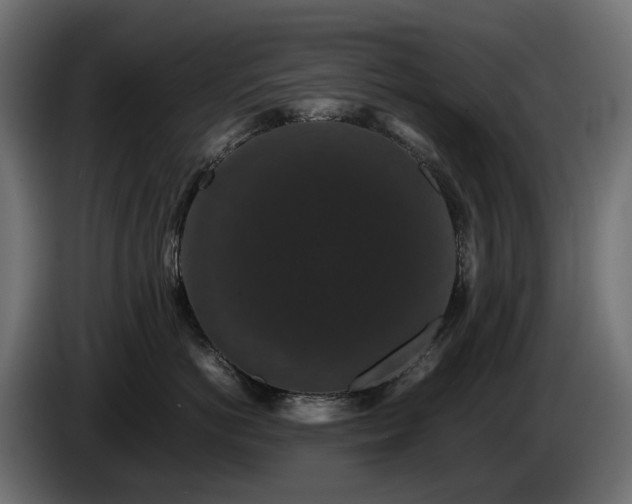X0000085840766200703231442