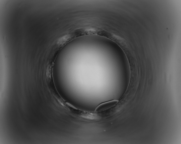 X0000085840768200703231442