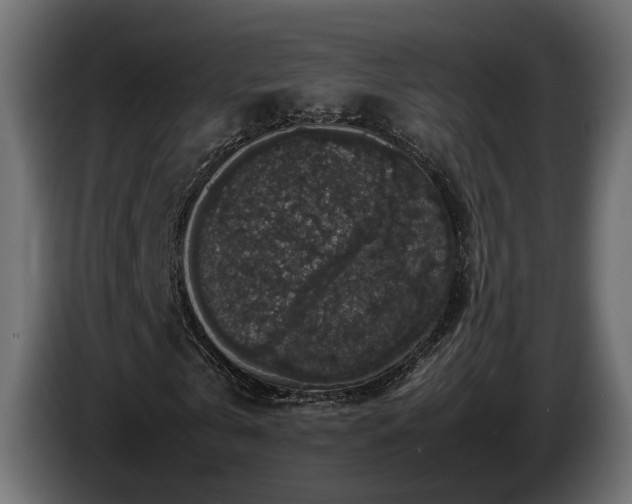 X0000085840769200703231442