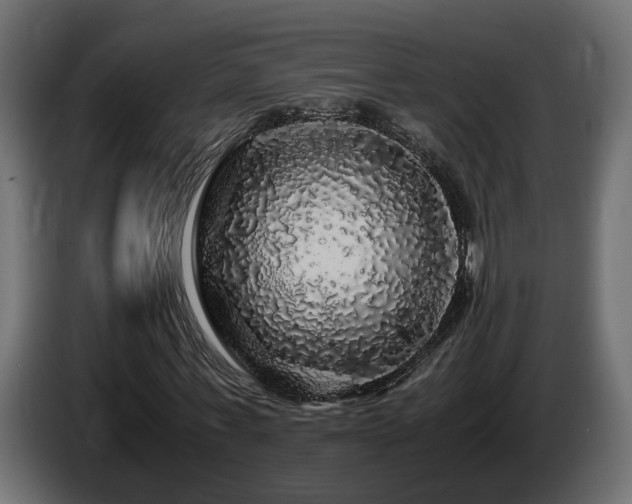 X0000085840771200703231442