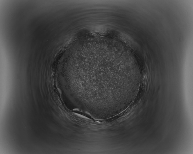 X0000085840772200703231442