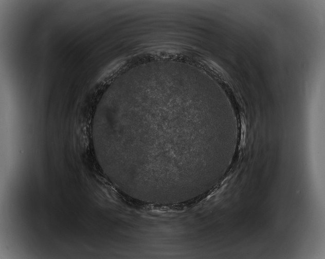 X0000085840774200703231441