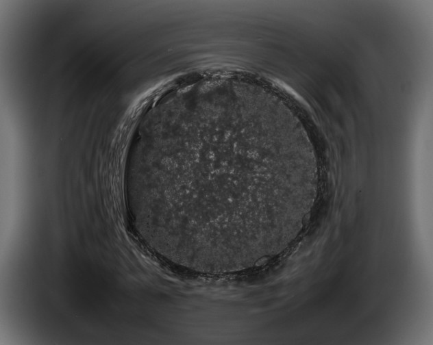 X0000085840775200703231441