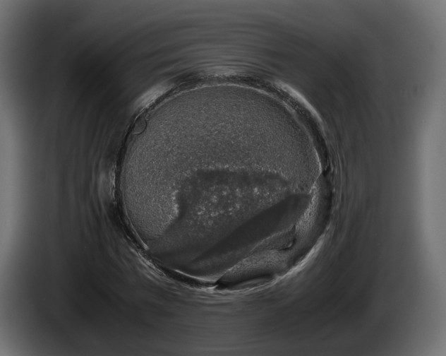 X0000085840777200703231441