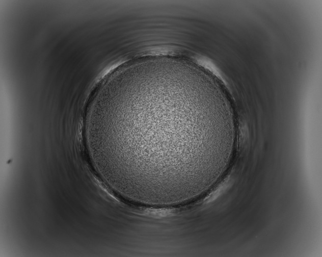 X0000085840778200703231441