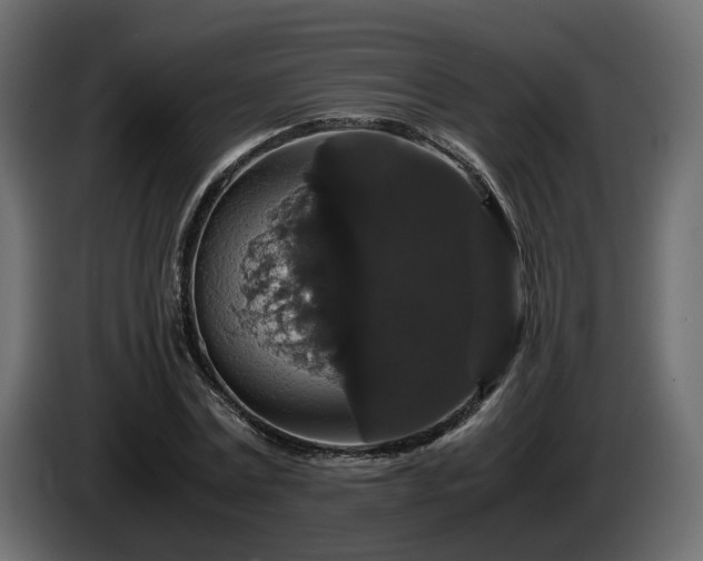 X0000085840779200703231441