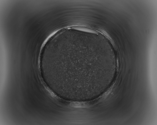 X0000085840780200703231441