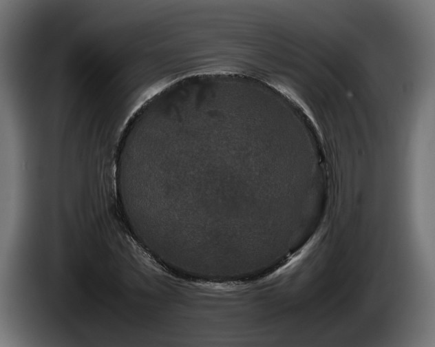 X0000085840781200703231441