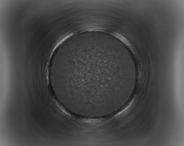 X0000085840782200703231441