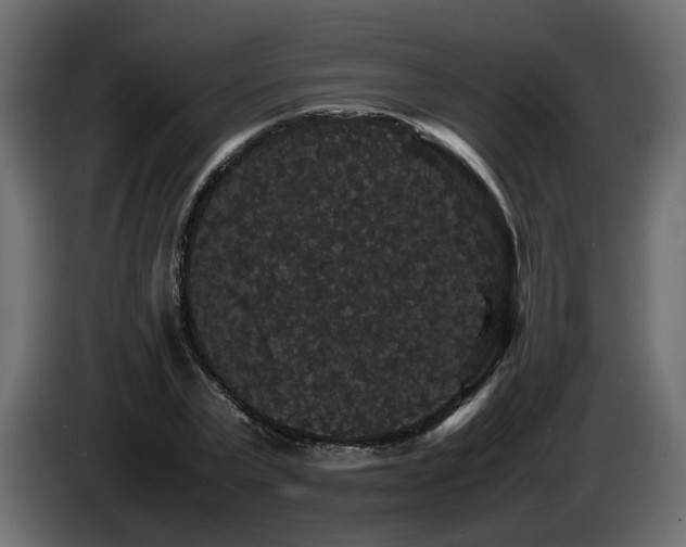 X0000085840783200703231441