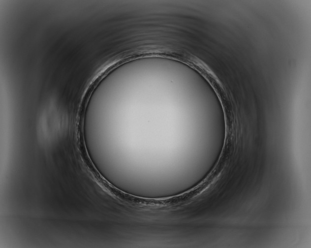 X0000085840786200703231441