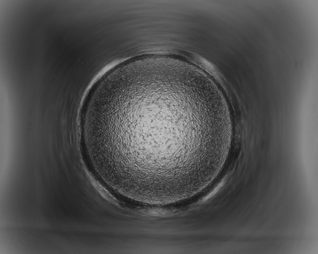 X0000085840787200703231441