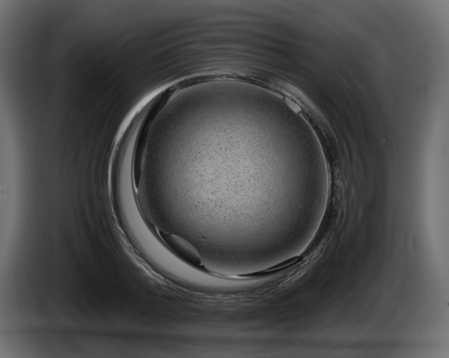 X0000085840788200703231441