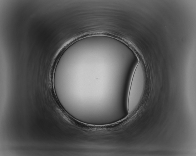 X0000085840789200703231441