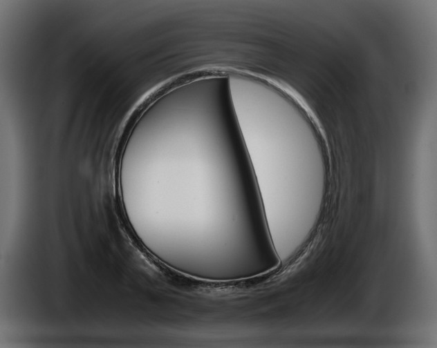 X0000085840791200703231441
