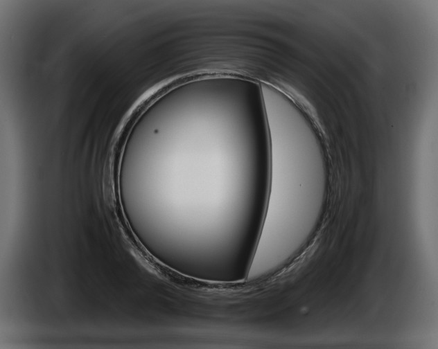 X0000085840792200703231441
