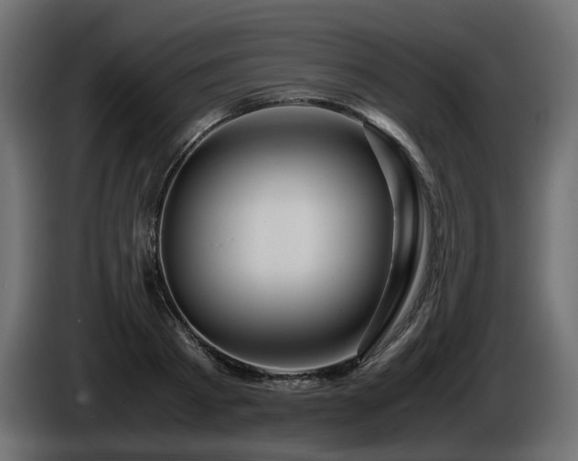 X0000085840793200703231441