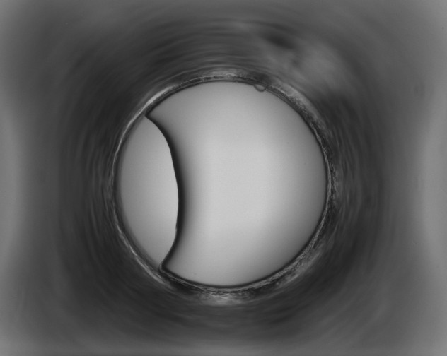X0000085840794200703231441