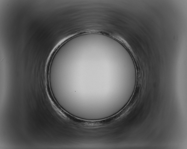 X0000085840795200703231441