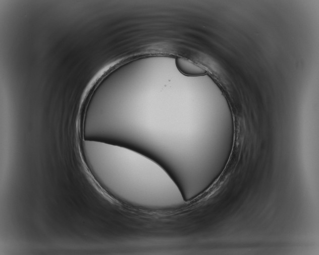 X0000085840796200703231441