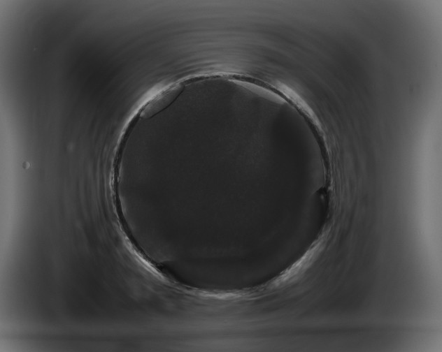 X0000085840797200703231441