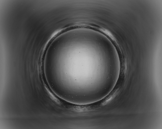 X0000085840799200703231441