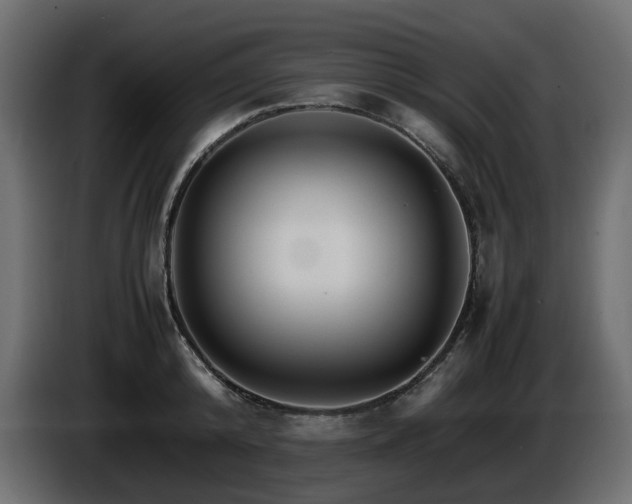 X0000085840800200703231441