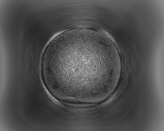 X0000085840803200703231441