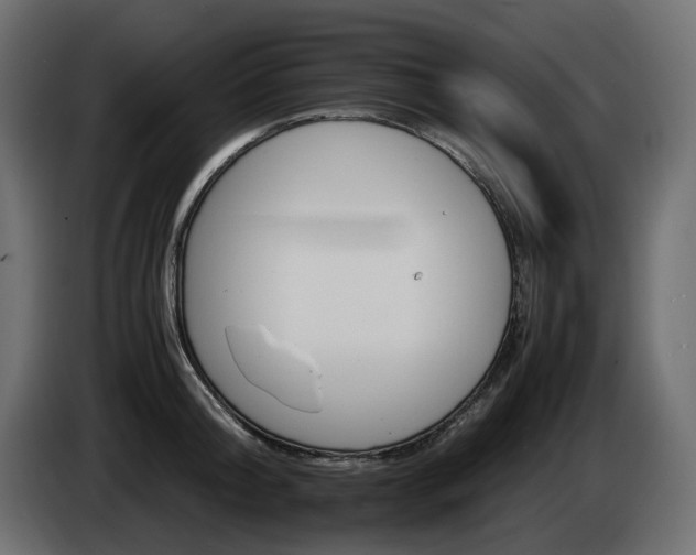 X0000085840804200703231441