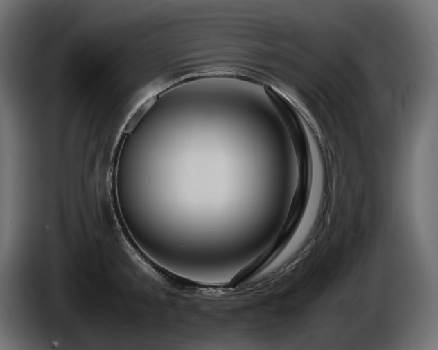 X0000085840805200703231441