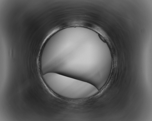 X0000085840806200703231441