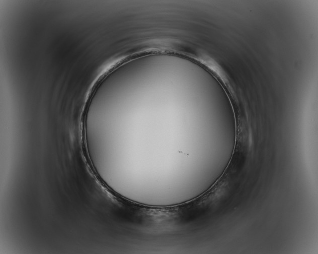 X0000085840807200703231441