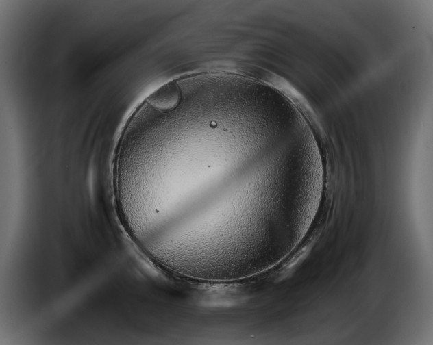X0000085840808200703231441