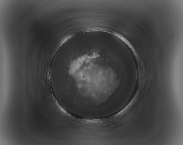 X0000085840809200703231441