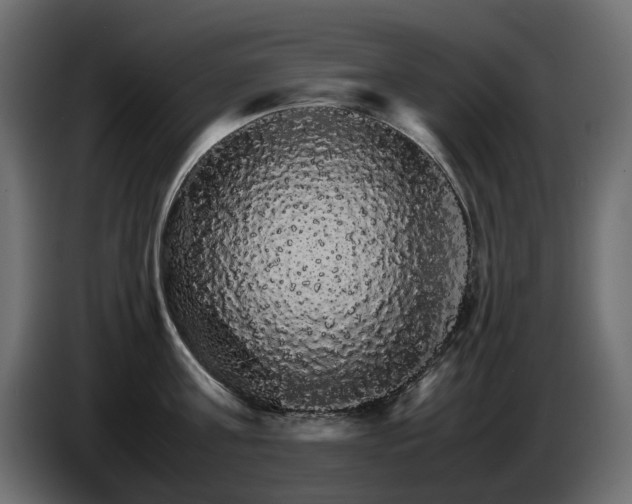 X0000085840811200703231441