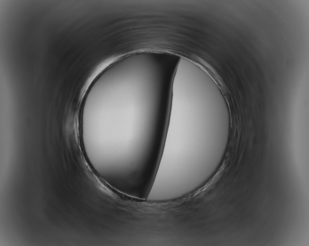 X0000085840812200703231441
