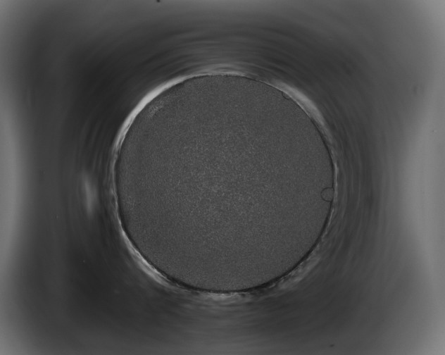 X0000085840816200703231441