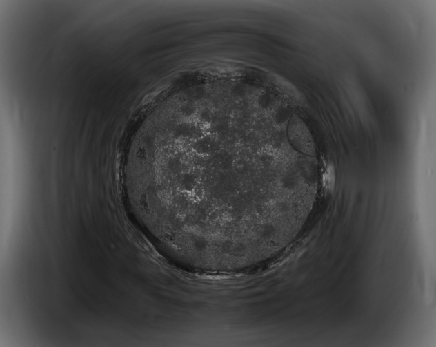 X0000085840819200703231440