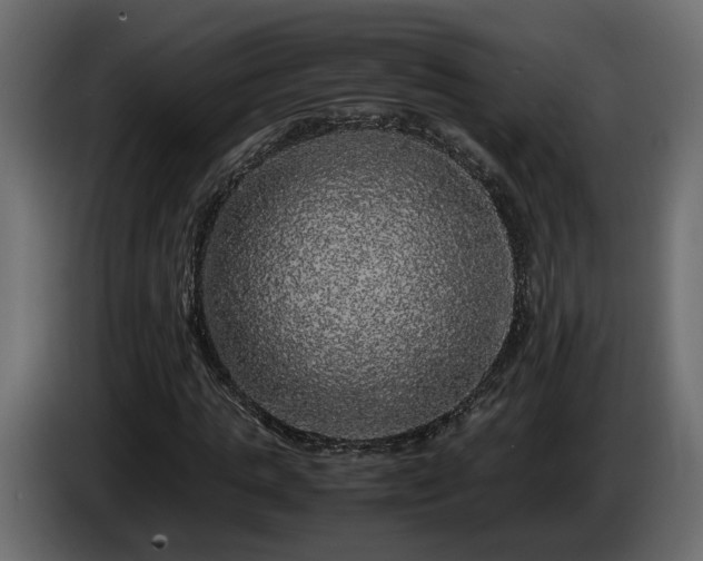 X0000085840821200703231440
