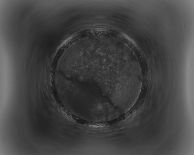 X0000085840823200703231440