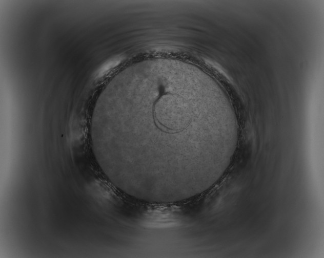 X0000085840824200703231440