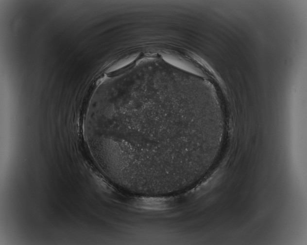 X0000085840825200703231440