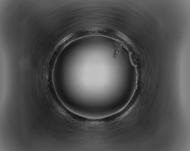 X0000085840826200703231440