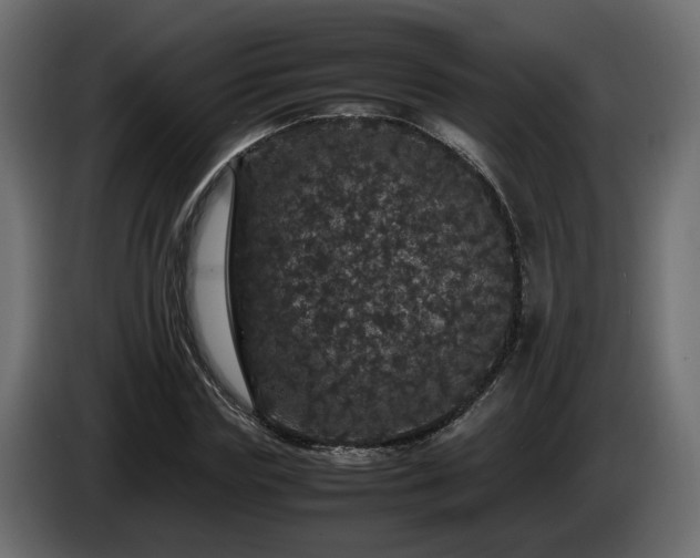 X0000085840827200703231440