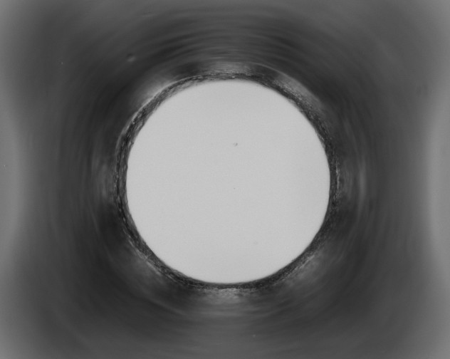 X0000085840828200703231440