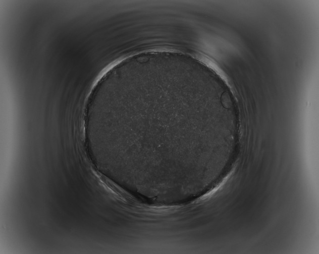 X0000085840829200703231440